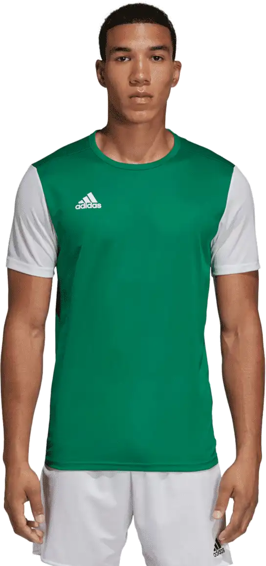 Pánský dres Adidas Estro 19 zelený