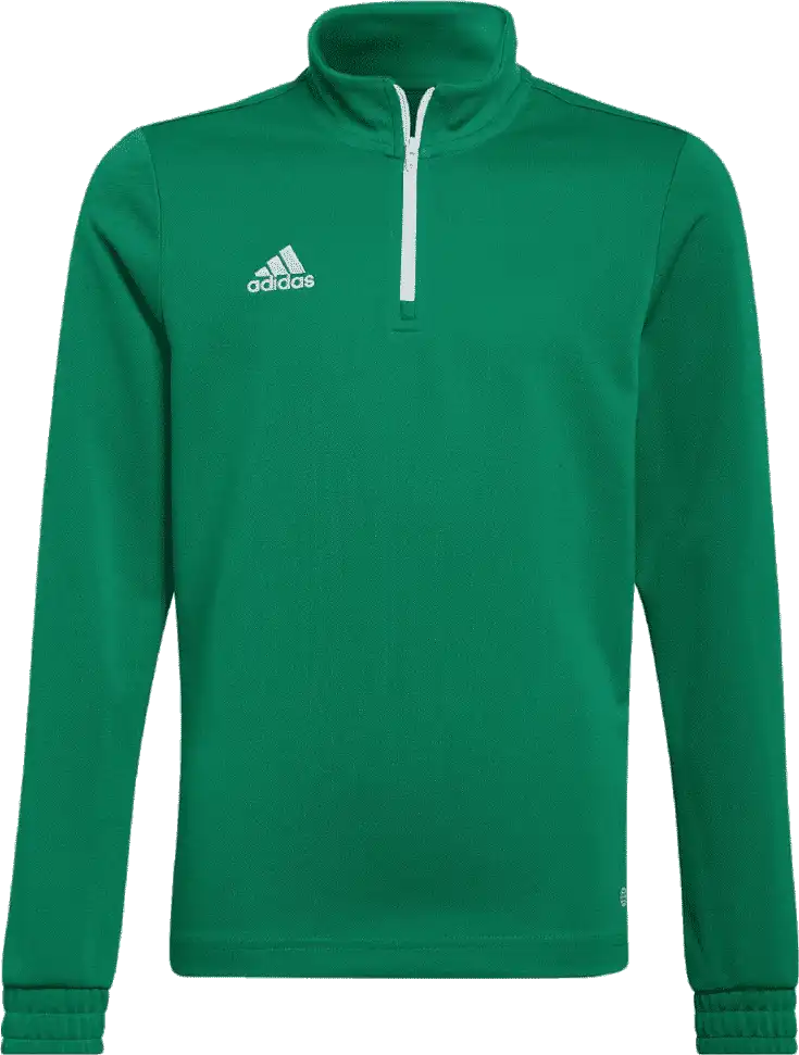 Dětská tréninková mikina Adidas Entrada 22 Training Top zelená