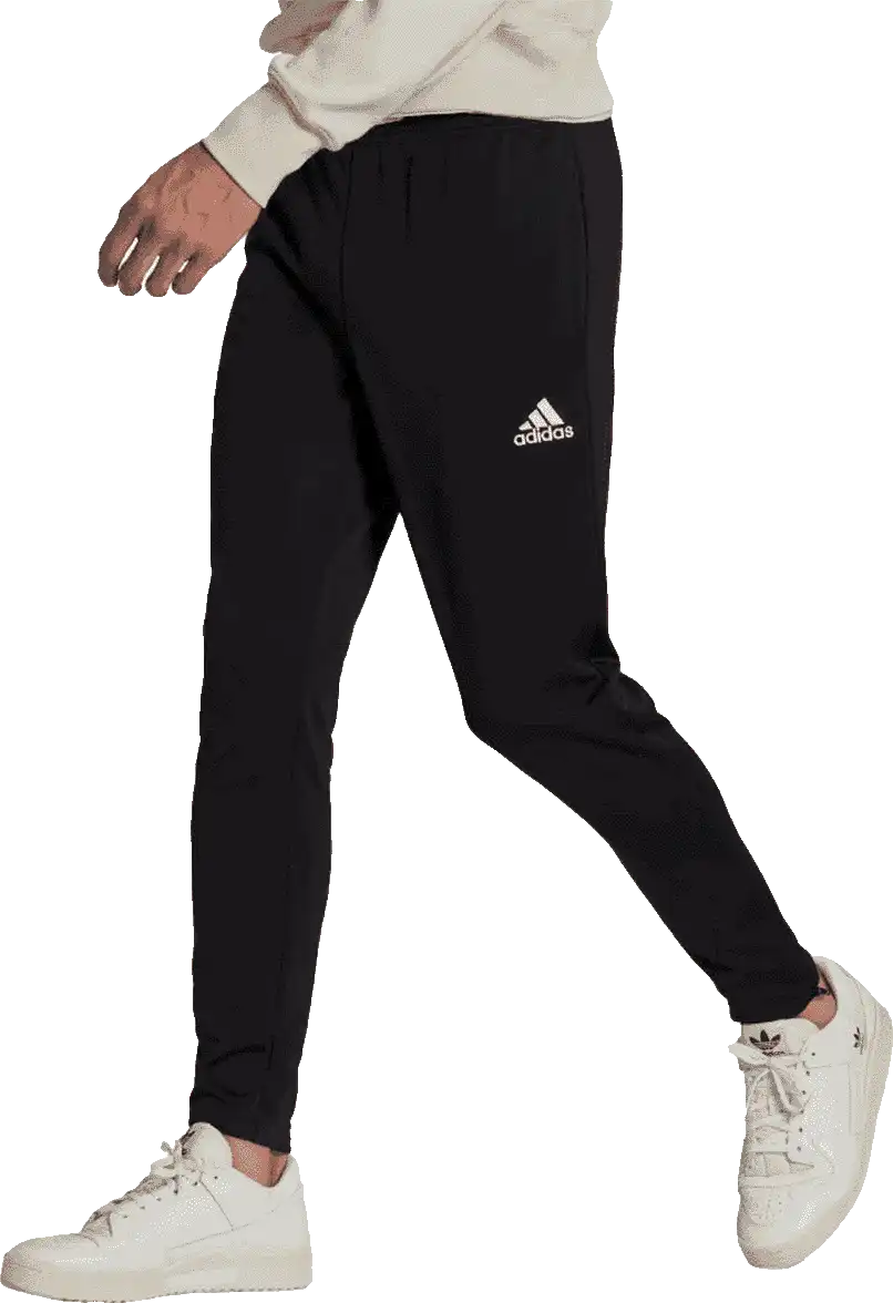Pánské sportovní kalhoty Adidas Entrada 22 Training černé