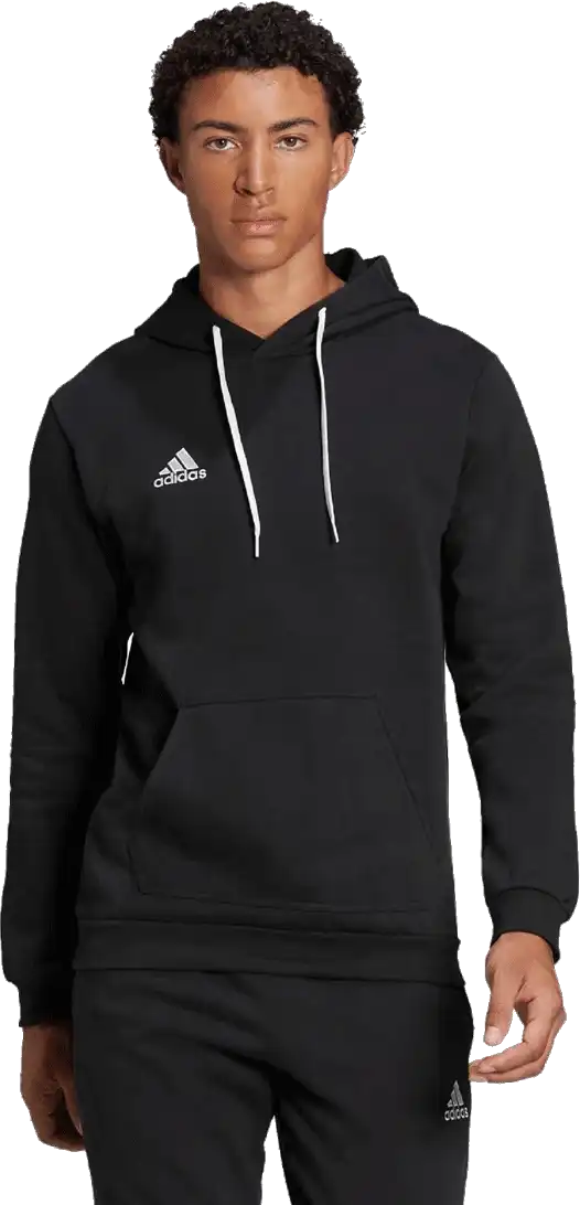 Pánská mikina s kapucí Adidas Entrada 22 Sweat černá