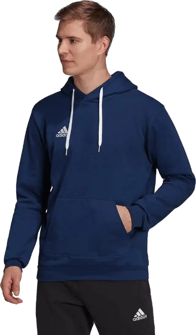Pánská mikina s kapucí Adidas Entrada 22 Sweat modrá