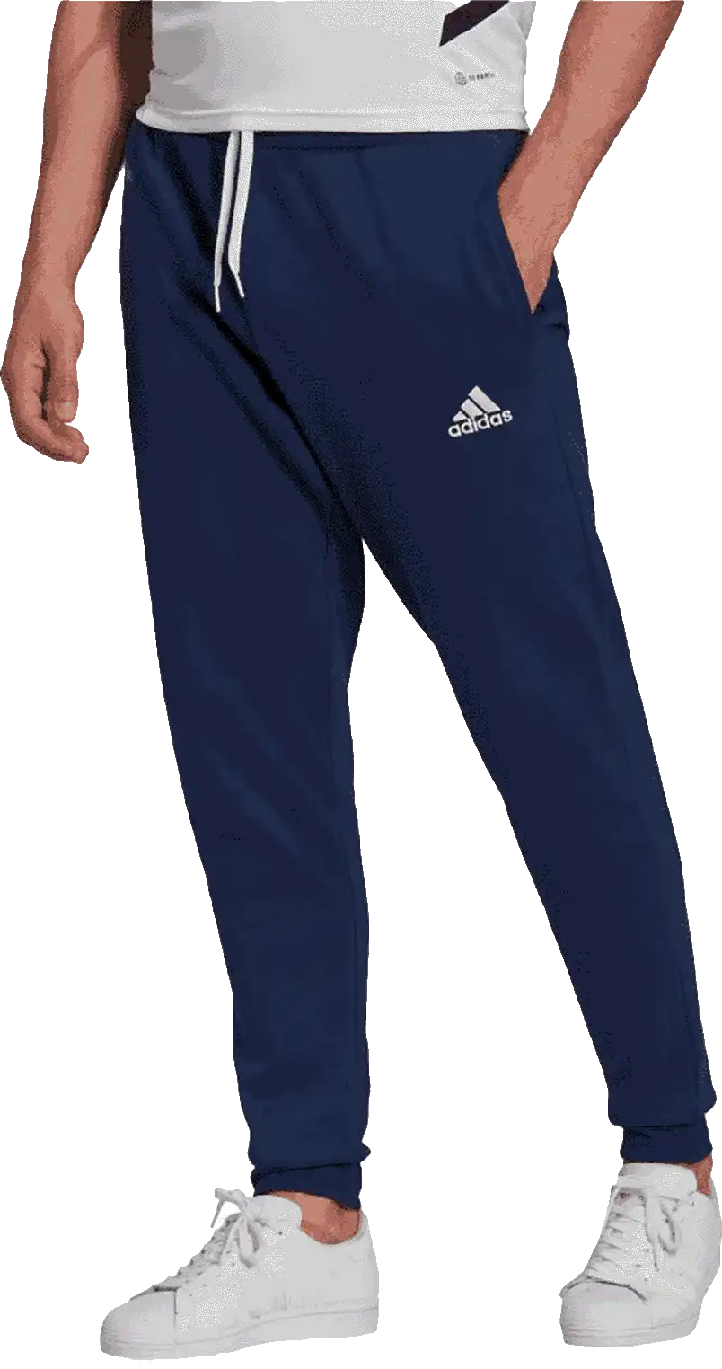 Pánské sportovní kalhoty Adidas Entrada 22 Sweat modré