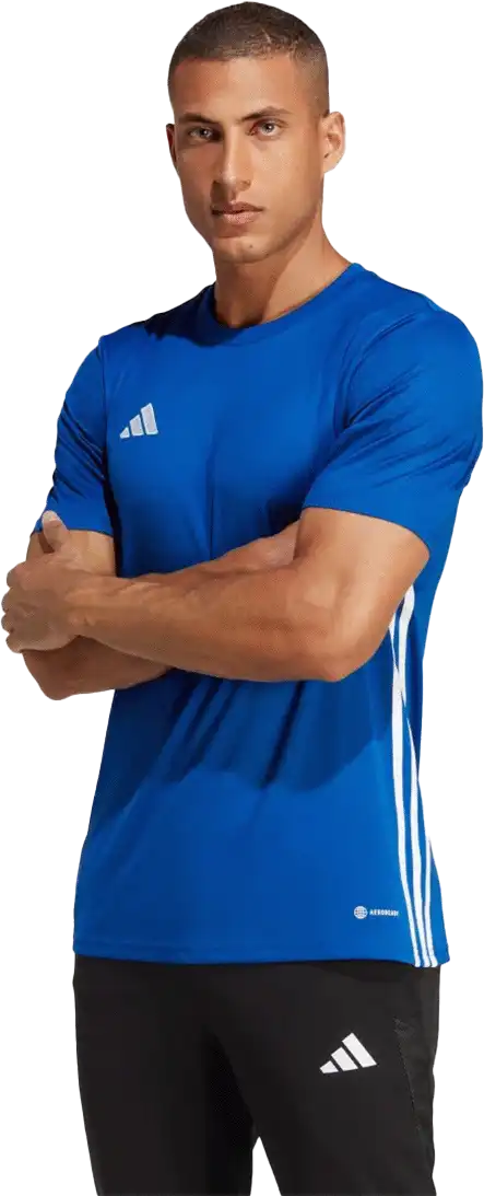 Pánský fotbalový dres Adidas Tabela 23 modrý