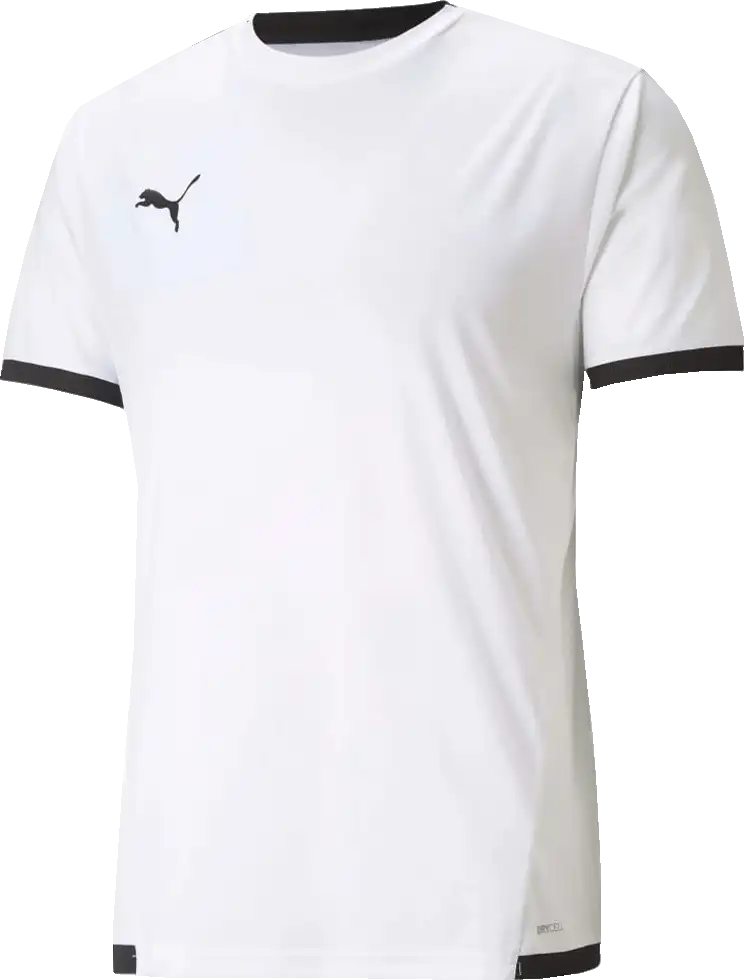 Pánský fotbalový dres Puma teamLIGA bílý