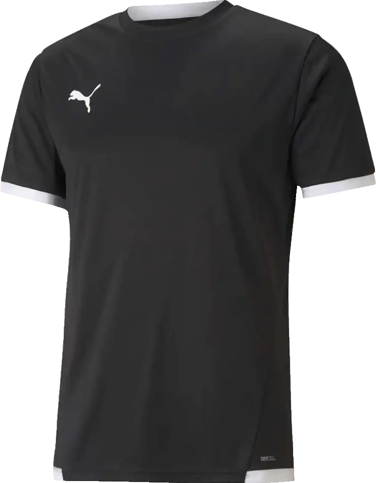 Pánský fotbalový dres Puma teamLIGA černý