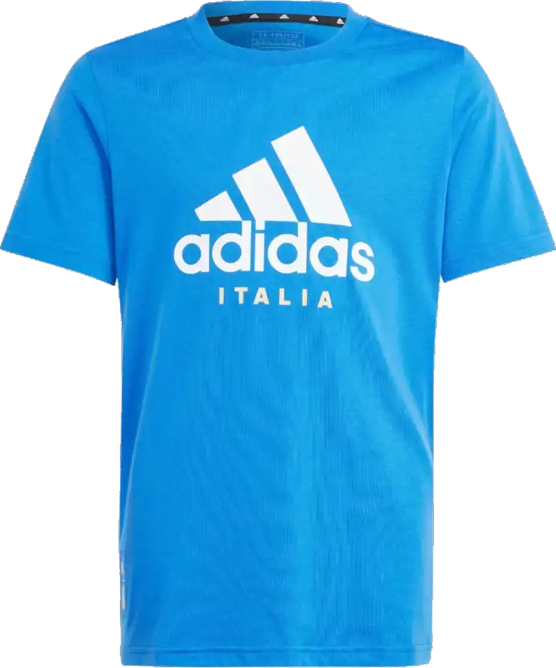 Dětské fotbalové tričko Adidas Itálie 2024 Tee modré
