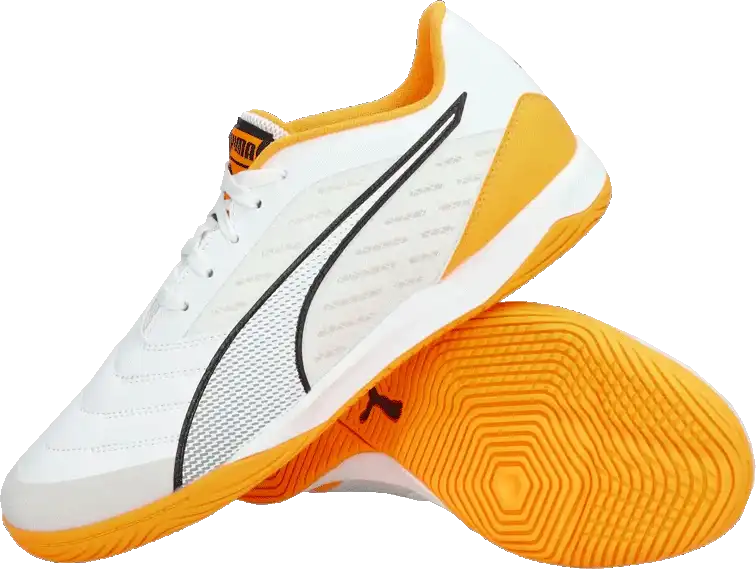 Pánské sálové kopačky Puma Ibero IV bílé
