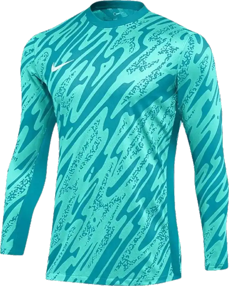 Pánský brankářský dres Nike Dri-FIT Gardien V GK blankytný