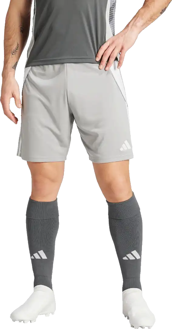 Pánské fotbalové šortky Adidas Tiro 24 Training šedé