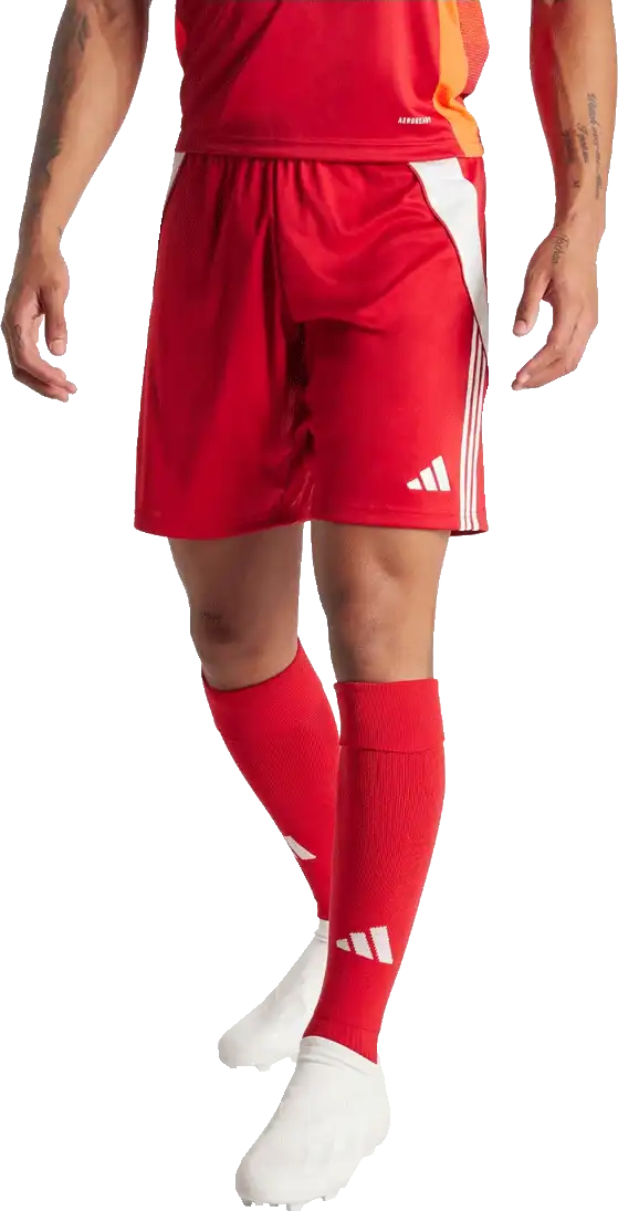 Pánské fotbalové šortky Adidas Tiro 24 Training červené