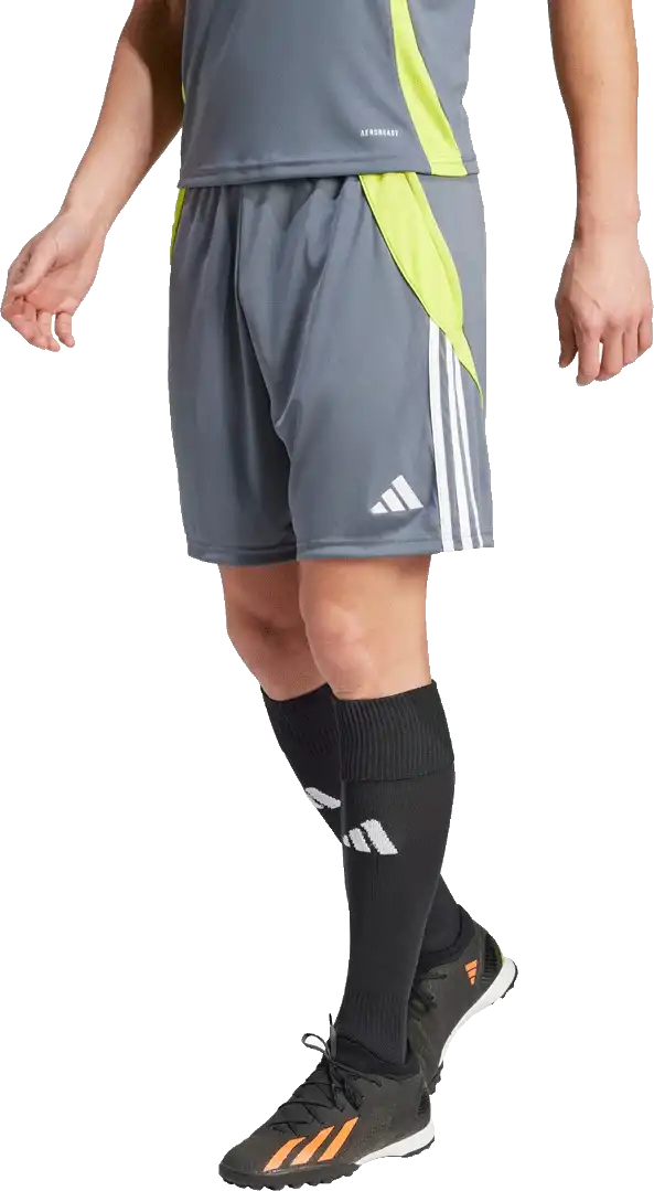 Pánské šortky Adidas Tiro 24 Training šedé
