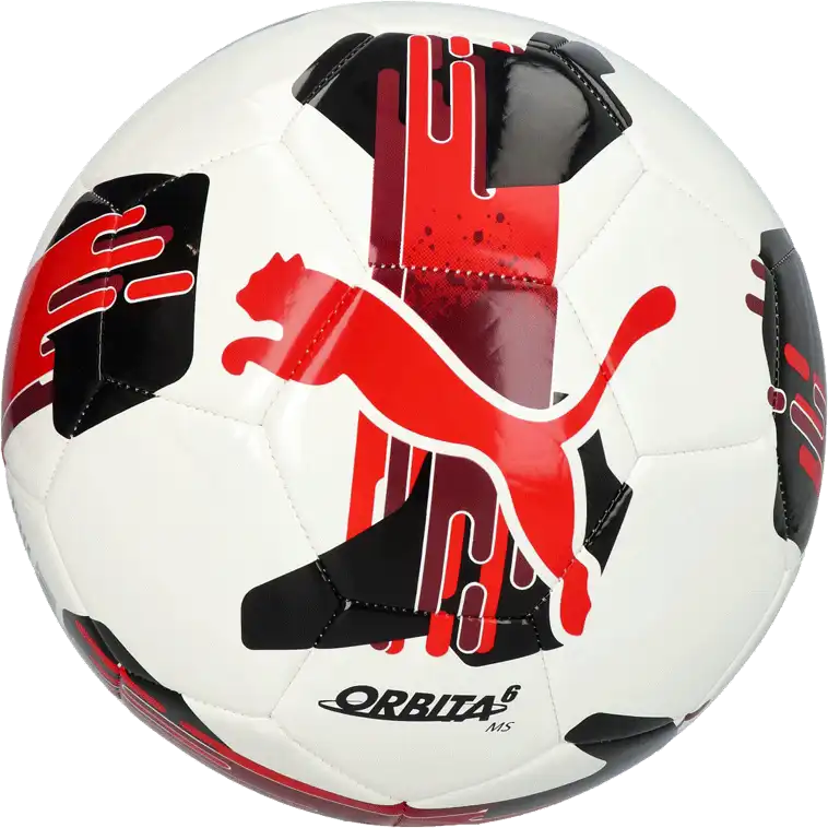 Fotbalový míč Puma Orbita 6 MS velikost 3 vícebarevný4