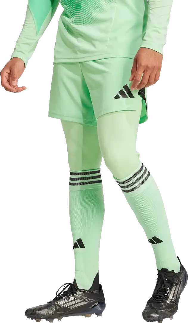 Pánské brankářské legíny Adidas Tiro 25 Pro Goalkeeper zelené