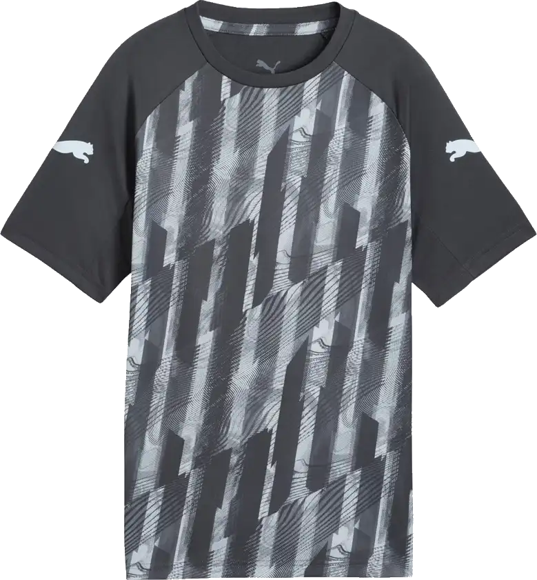 Dětský fotbalový dres Puma individualLIGA Graphic šedý