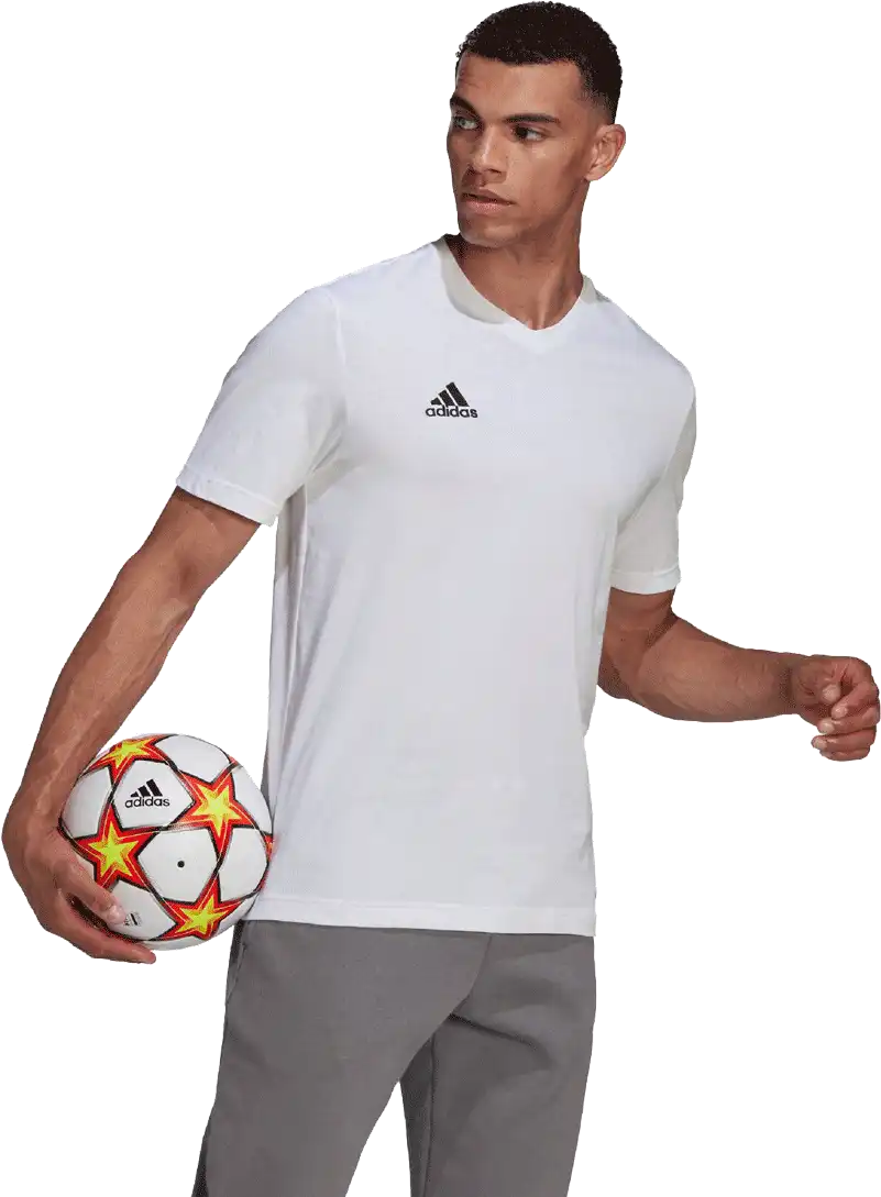 Pánské tričko Adidas Entrada 22 Tee