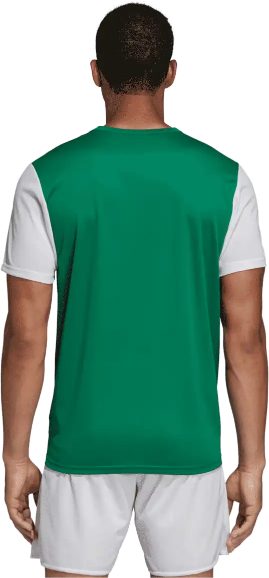 Pánský dres Adidas Estro 19 zelený