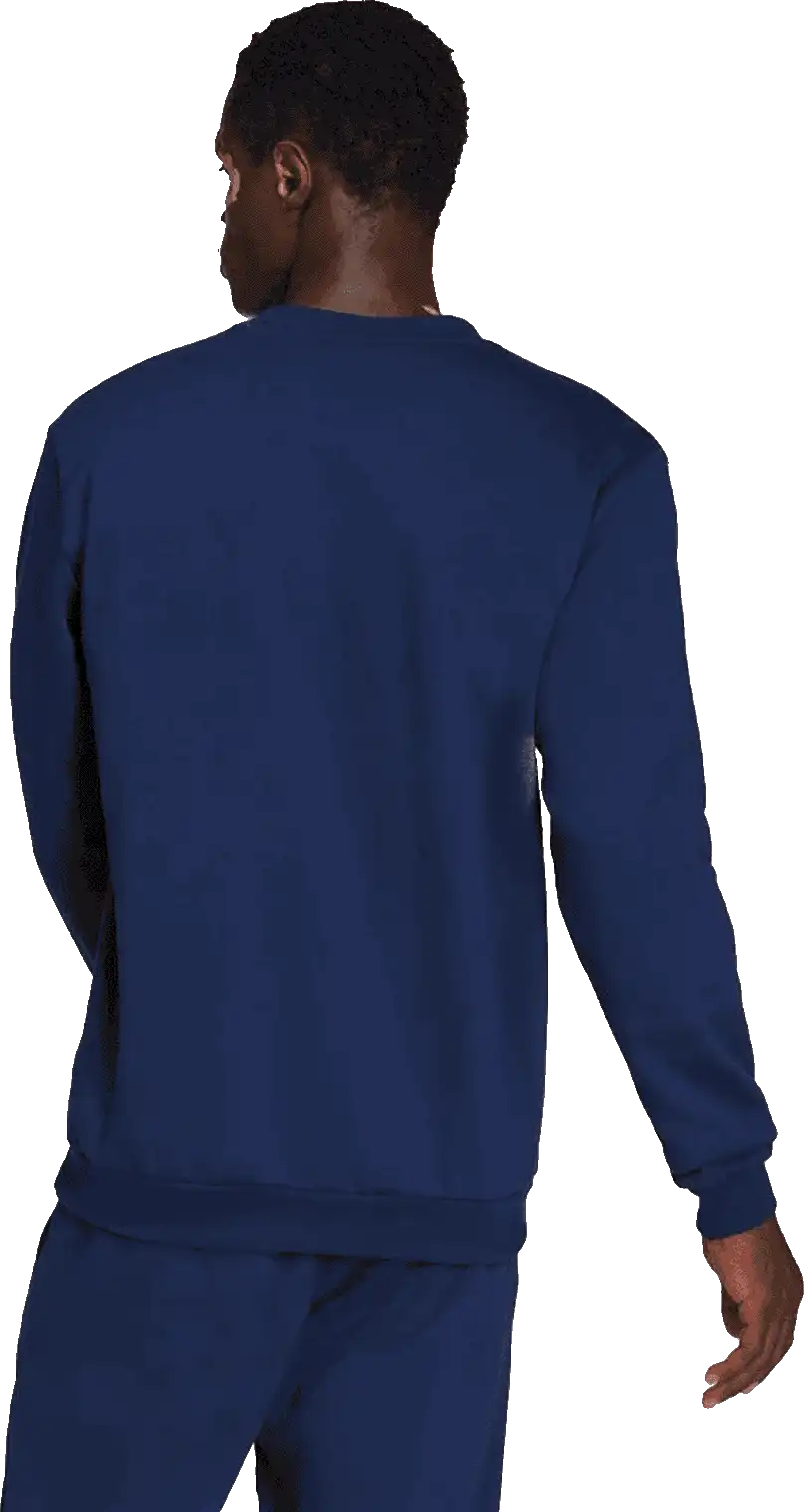 Pánská mikina Adidas Entrada 22 Sweat Top modrá