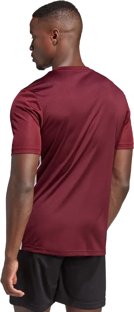 Pánský fotbalový dres Adidas Tabela 23 bordo