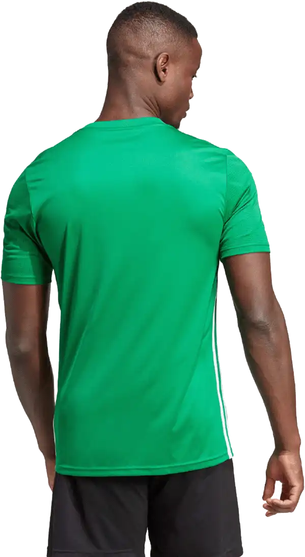 Pánský fotbalový dres Adidas Tabela 23 zelený