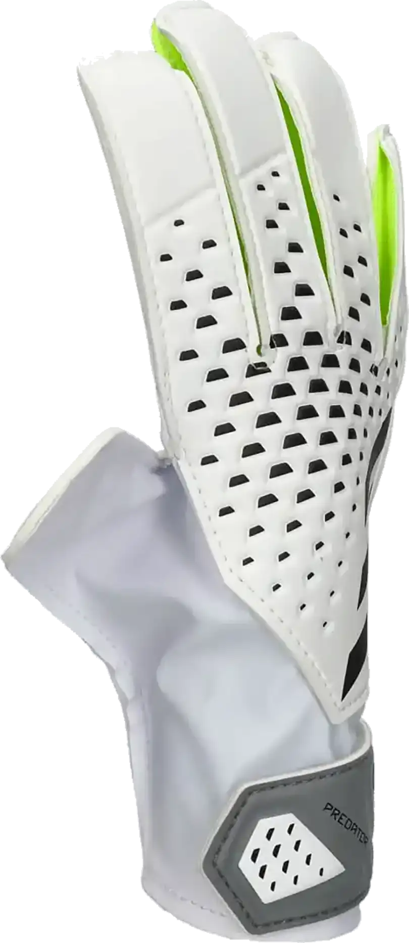 Dětské brankářské rukavice Adidas Predator Training bílo-zelené