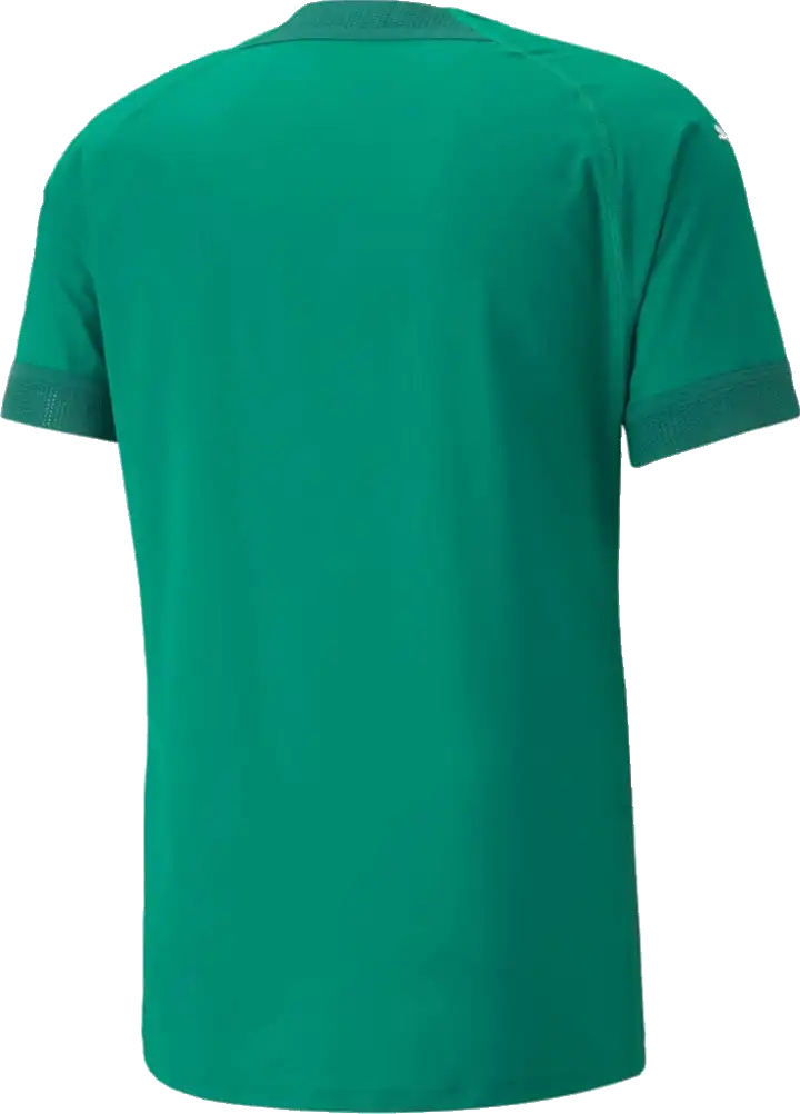 Pánský fotbalový dres Puma teamFINAL zelený