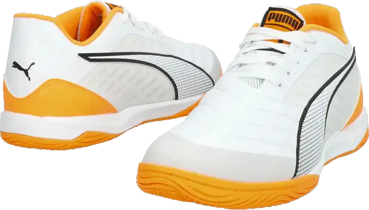 Pánské sálové kopačky Puma Ibero IV bílé