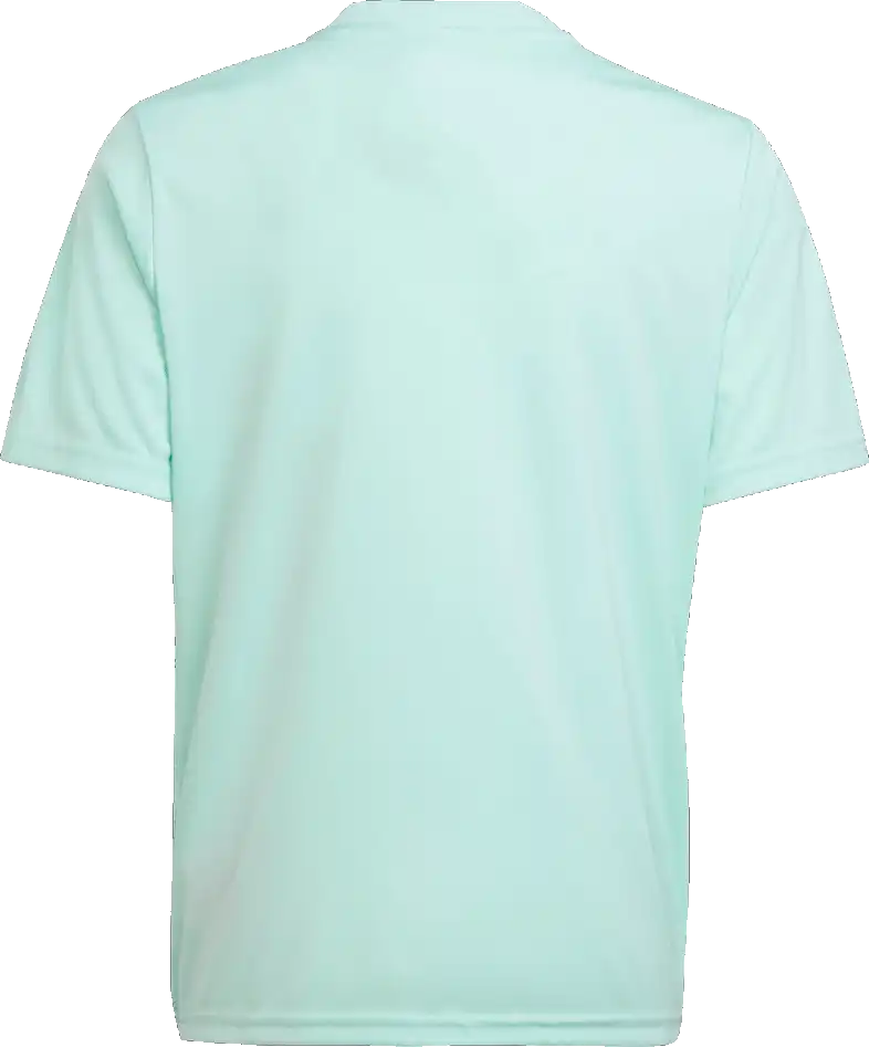 Dětský fotbalový dres Adidas Team Icon 23 mátový
