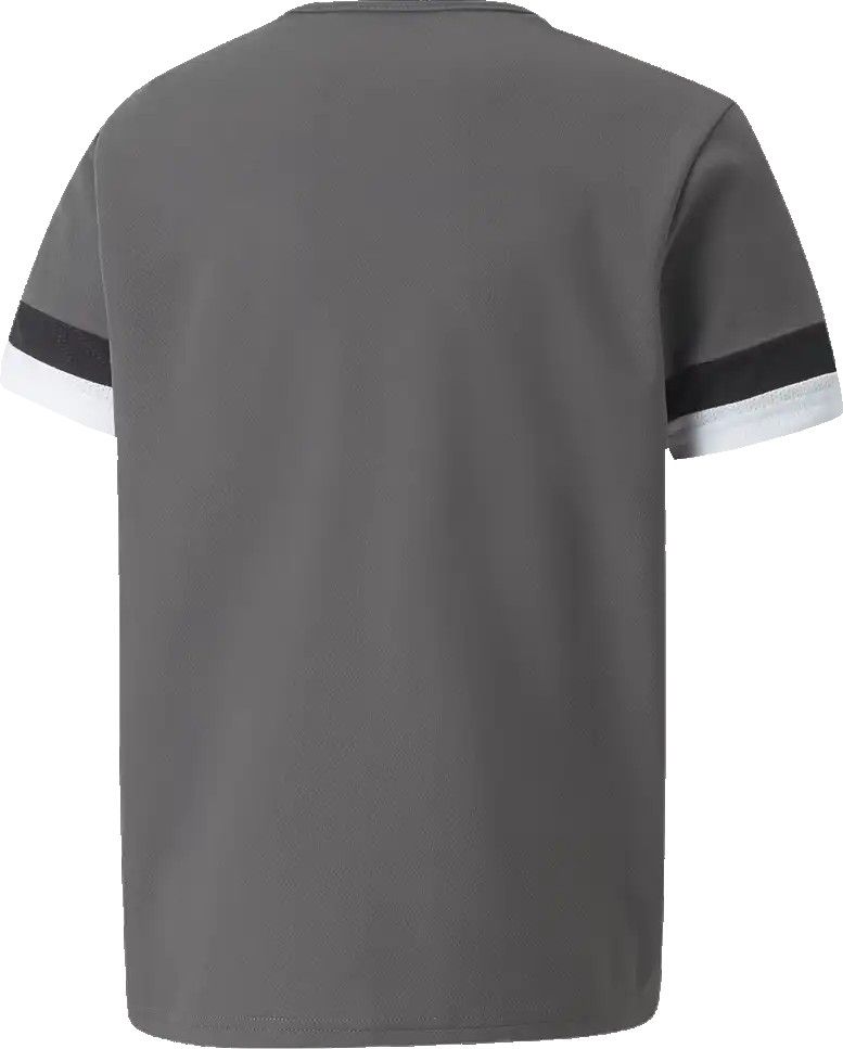 Dětský fotbalový dres Puma teamRISE šedý