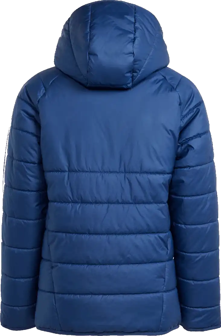 Dětská zimní bunda s kapucí Adidas Tiro 24 Winter modrá