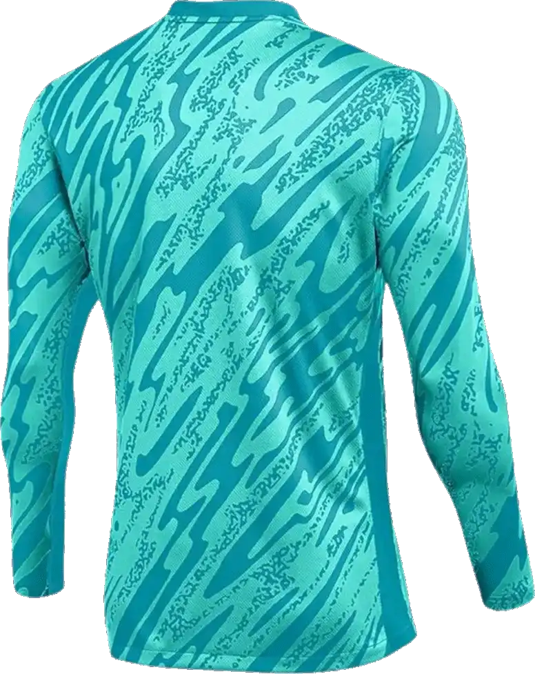 Pánský brankářský dres Nike Dri-FIT Gardien V GK blankytný