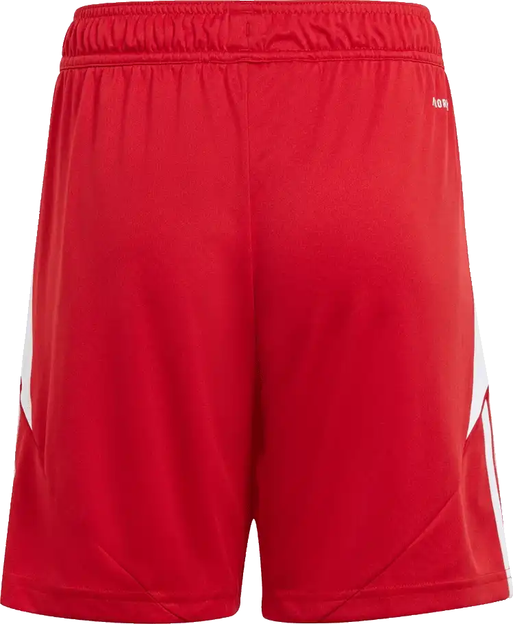 Dětské fotbalové šortky Adidas Tiro 24 červené