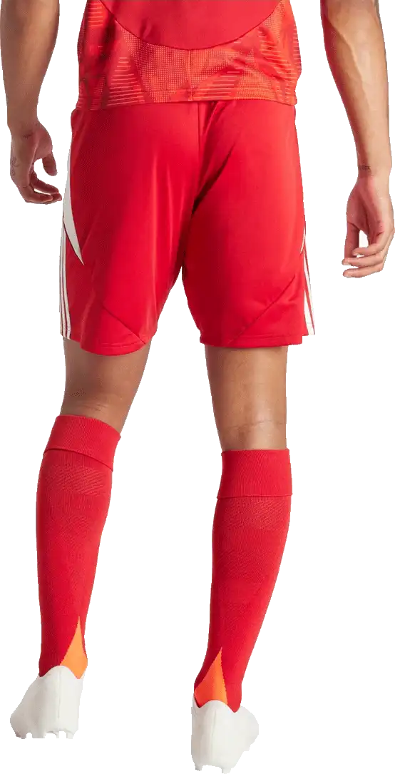 Pánské fotbalové šortky Adidas Tiro 24 Training červené