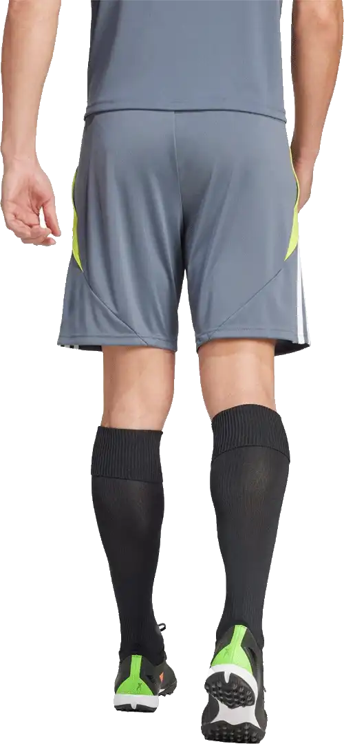 Pánské šortky Adidas Tiro 24 Training šedé