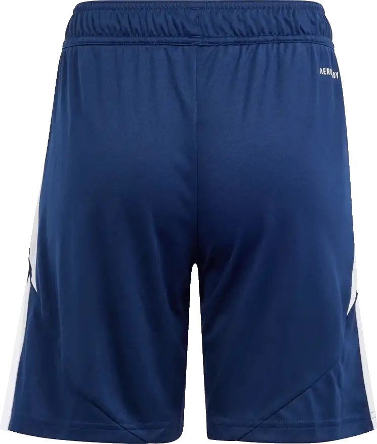 Dětské fotbalové šortky Adidas Tiro 24 modré
