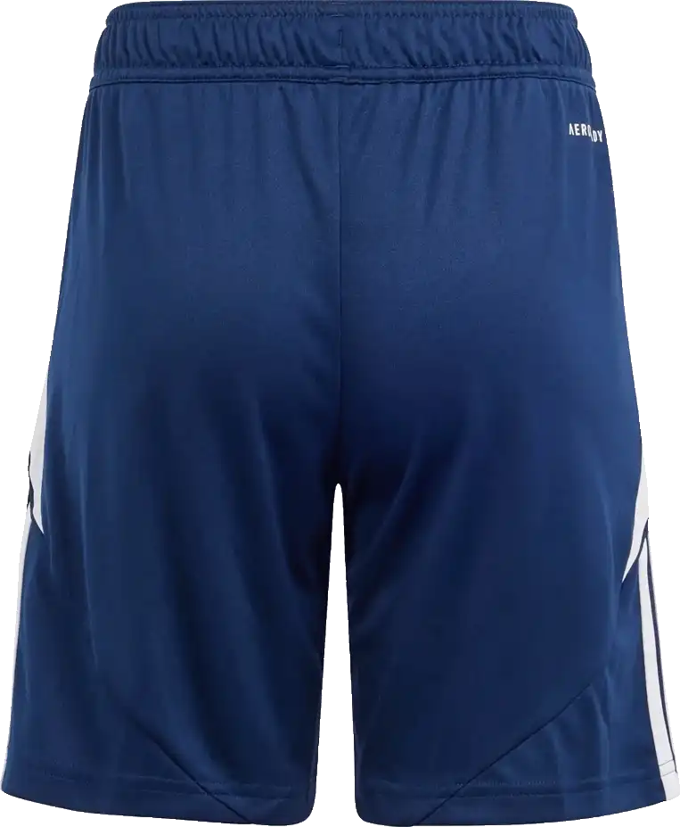 Dětské fotbalové šortky Adidas Tiro 24 modré3