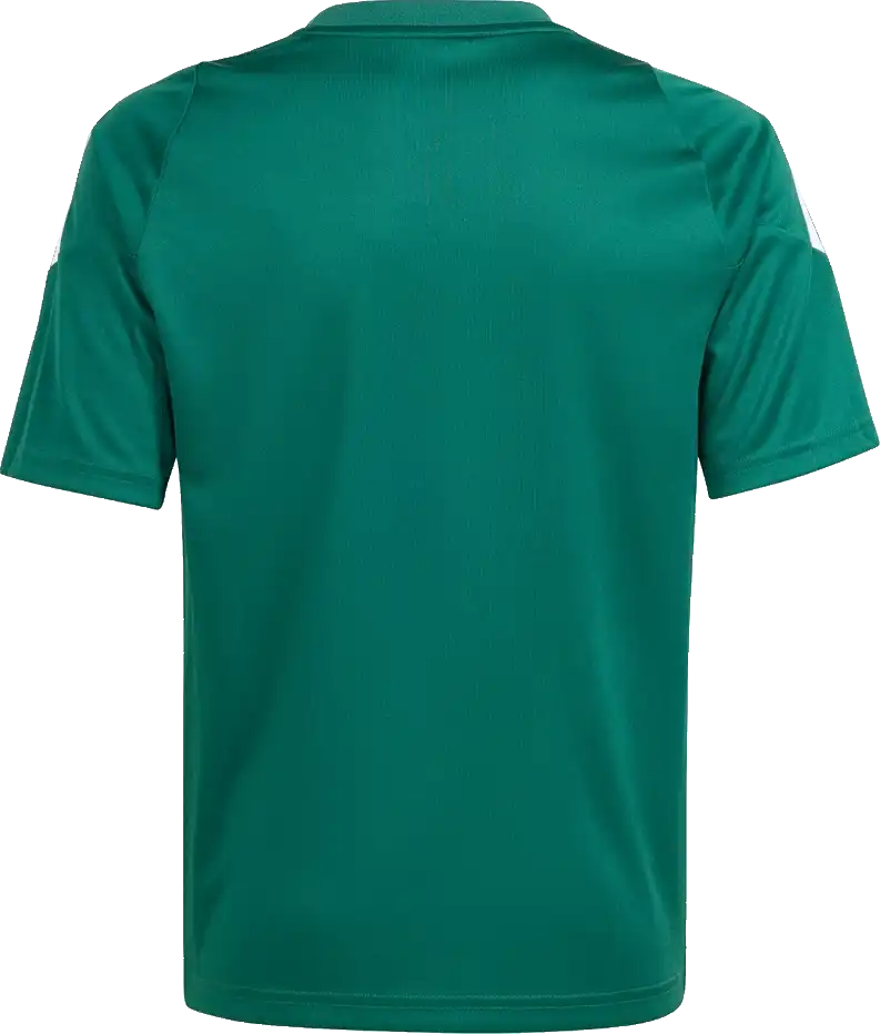 Dětský fotbalový dres Adidas Tiro 24 zelený