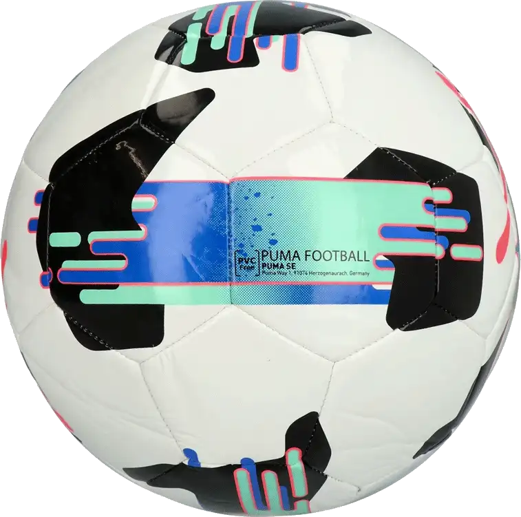 Fotbalový míč Puma Orbita Orbita 6 MS velikost 5 bílý