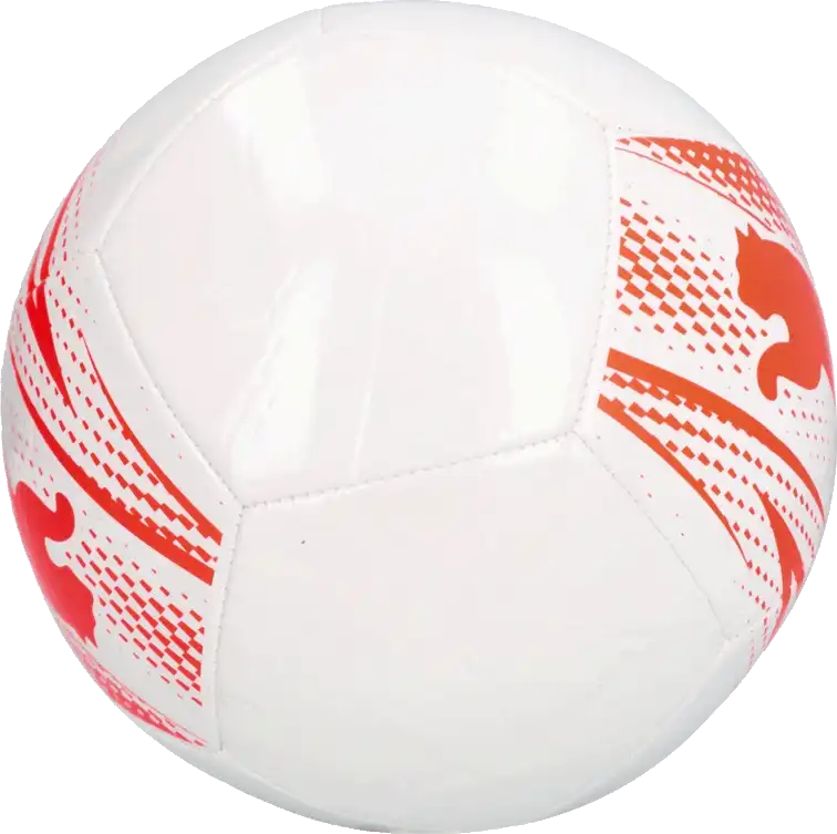 Fotbalový míč Puma Attacanto velikost 5 bílý2