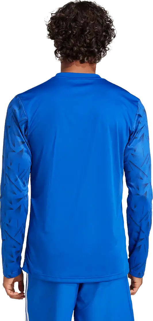 Pánský dres s dlouhým rukávem Adidas Team Icon 25 modrý