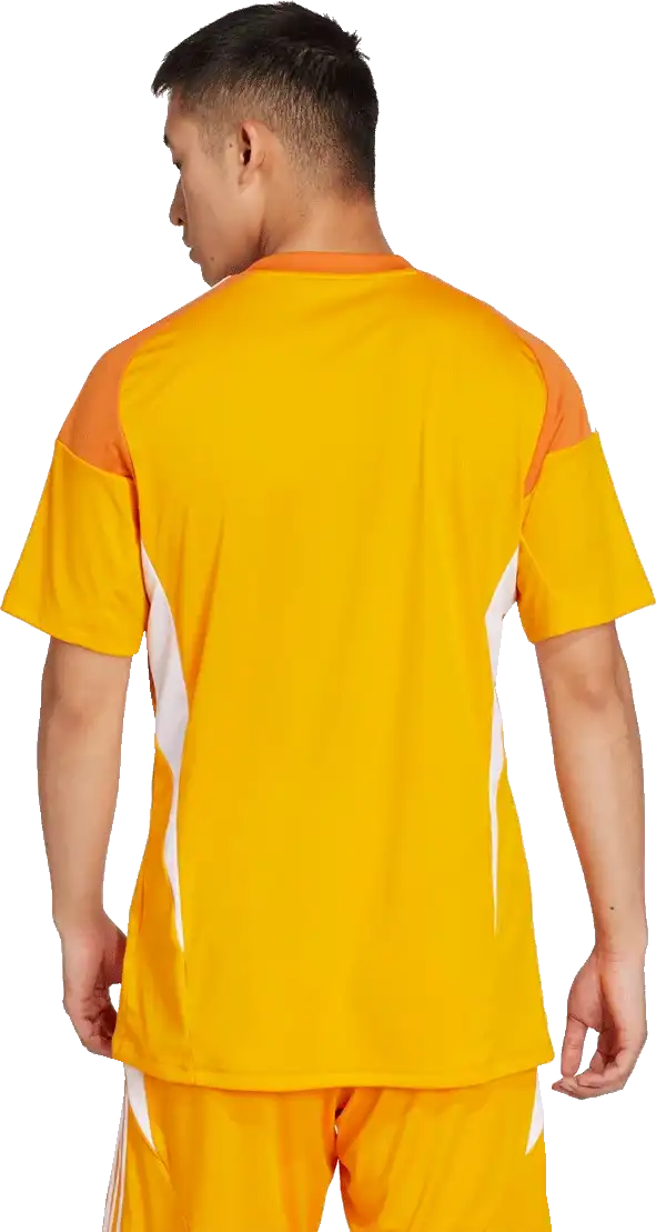 Pánský brankářský dres Adidas Tiro 25 Competition GK oranžový