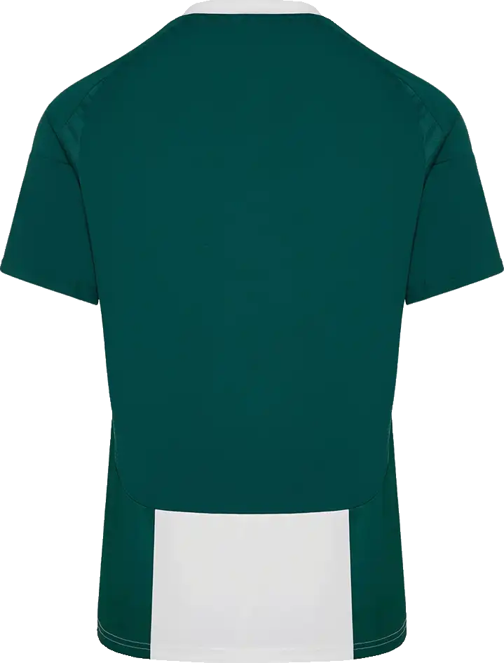 Dětský domácí dres Adidas Panathinaikos FC 24/25 bílo-zelený