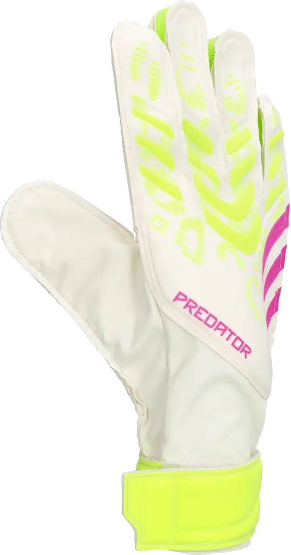 Pánské brankářské rukavice Adidas Predator Training bílé2