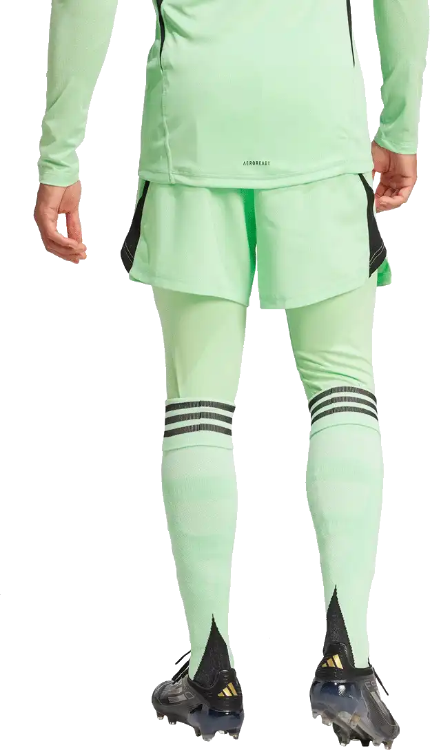 Pánské brankářské legíny Adidas Tiro 25 Pro Goalkeeper zelené