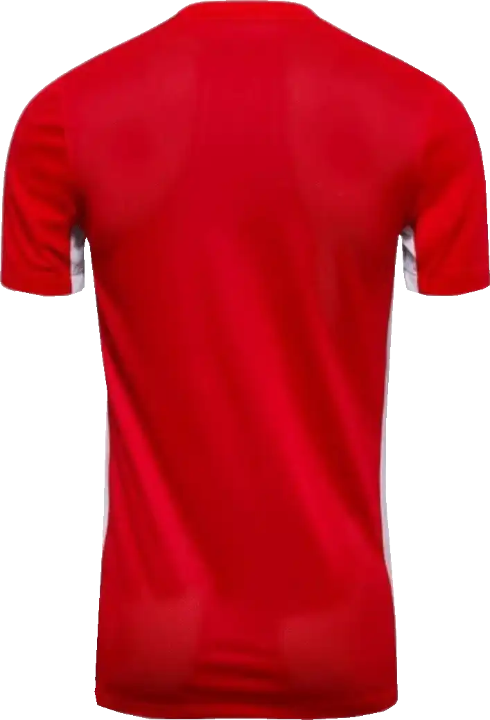 Dětský fotbalový dres Nike Dri-FIT Challenge V červený
