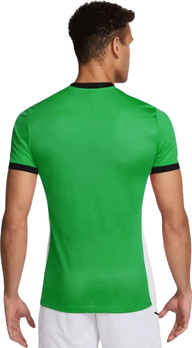 Pánské tréninkové tričko Nike Dri-FIT Academy 25 zelené