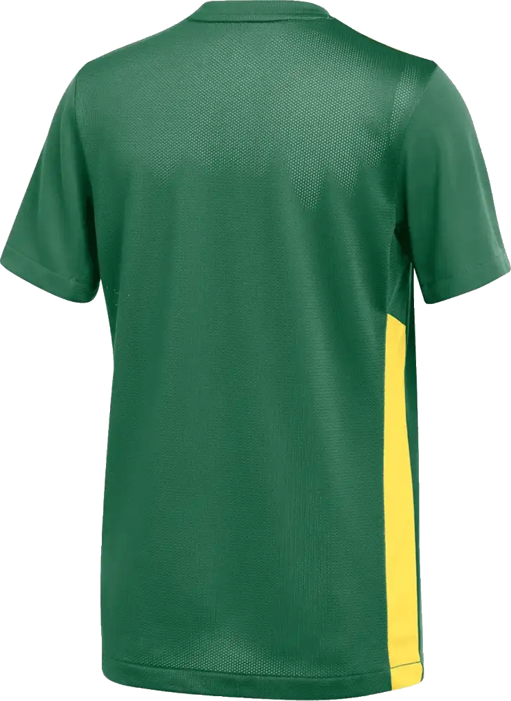 Dětský fotbalový dres Nike Dri-FIT Park Derby IV zelený