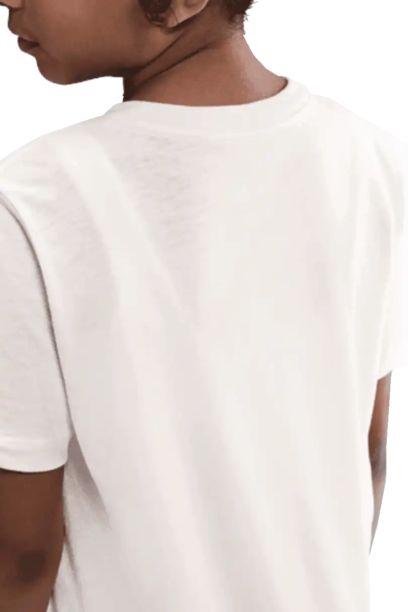 Dětské tričko s krátkým rukávem Nike Chelsea FC 25/26 Lion Tee šedé
