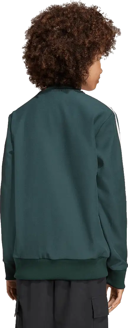 Dětský sportovní top Adidas Juventus FC 25/26 Terrace Icons Full-Zip zelený