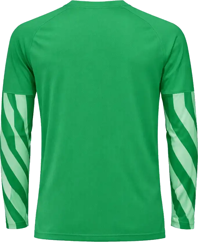 Dětský brankářský dres s dlouhým rukávem Nike Dri-FIT V zelený