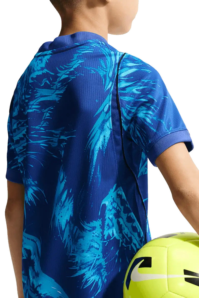 Dětský brankářský fotbalový dres Nike Anglie 2026 modrý